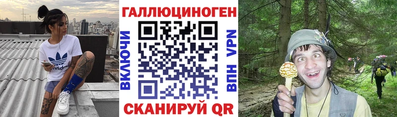 Псилоцибиновые грибы Psilocybine cubensis  дарнет шоп  OMG ТОР  Богданович 