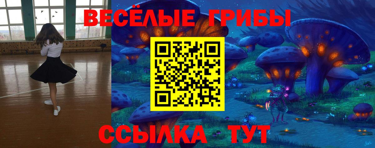 LSD-25 Богданович
