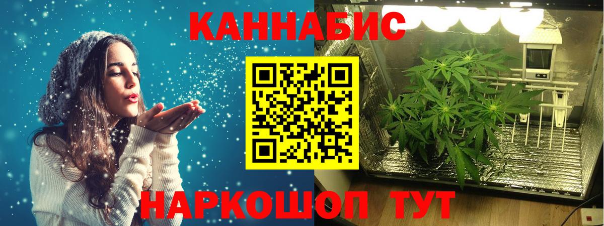 Конопля семена Богданович